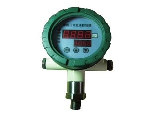 ���܉���������